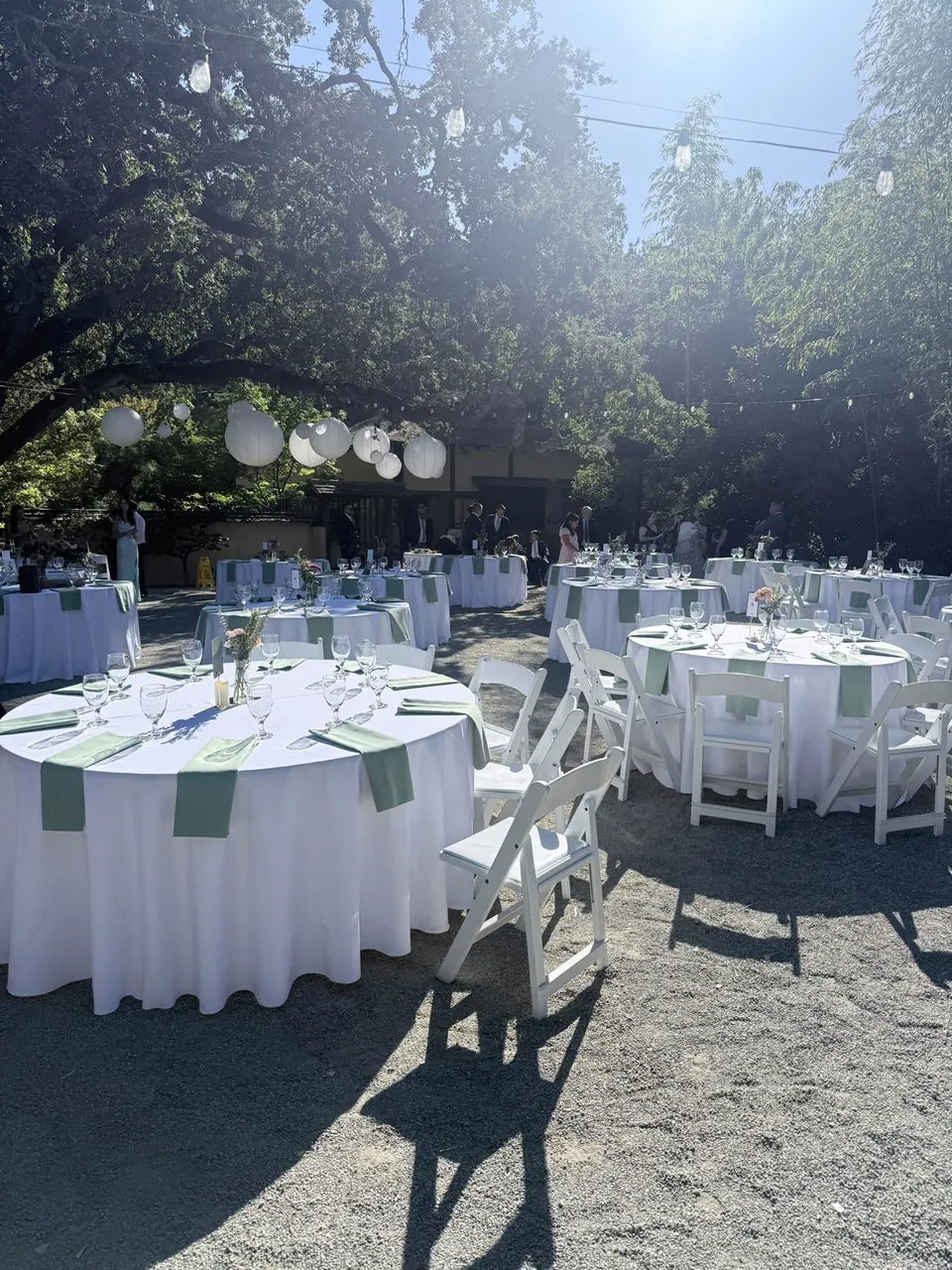Round tables set under trees with white linen and sage green sashes
