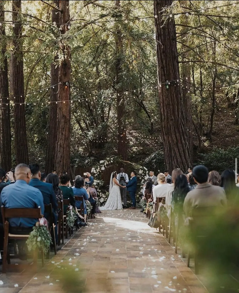 Wedding ceremony among redwoods