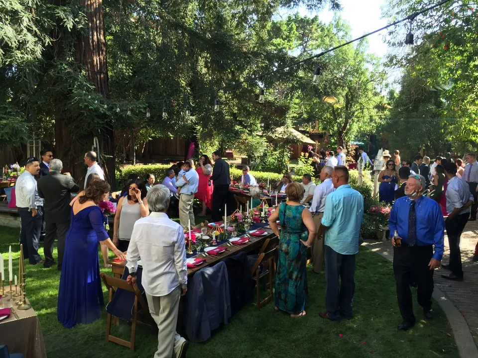 Guests gathering for a garden party under redwood trees